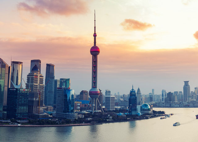 上海約盾展覽有限公司{總公司}